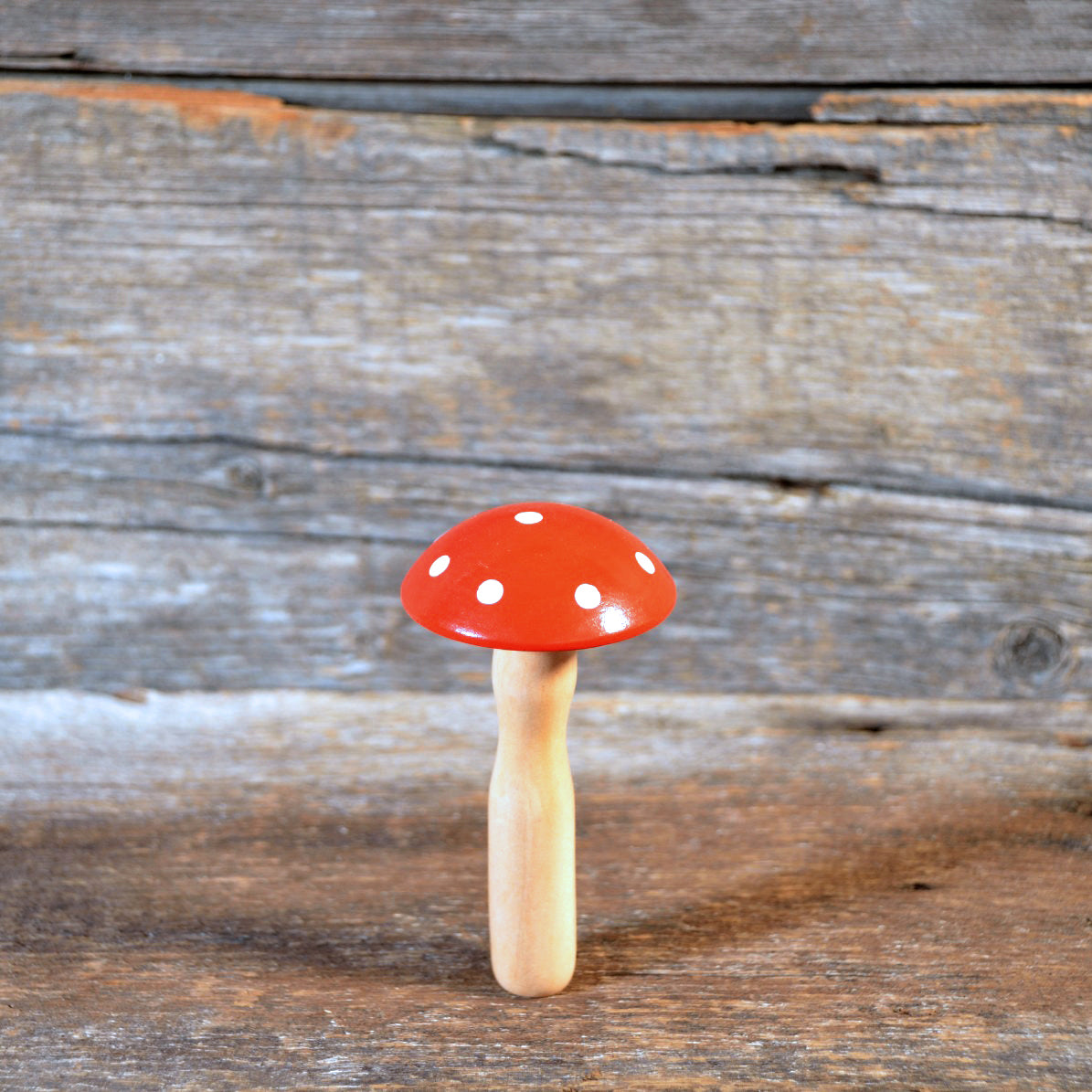 Mending Mushroom
