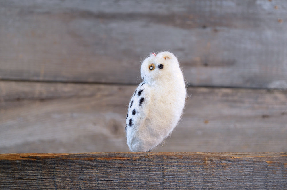 Snowy Owl Tutorial PDF Download