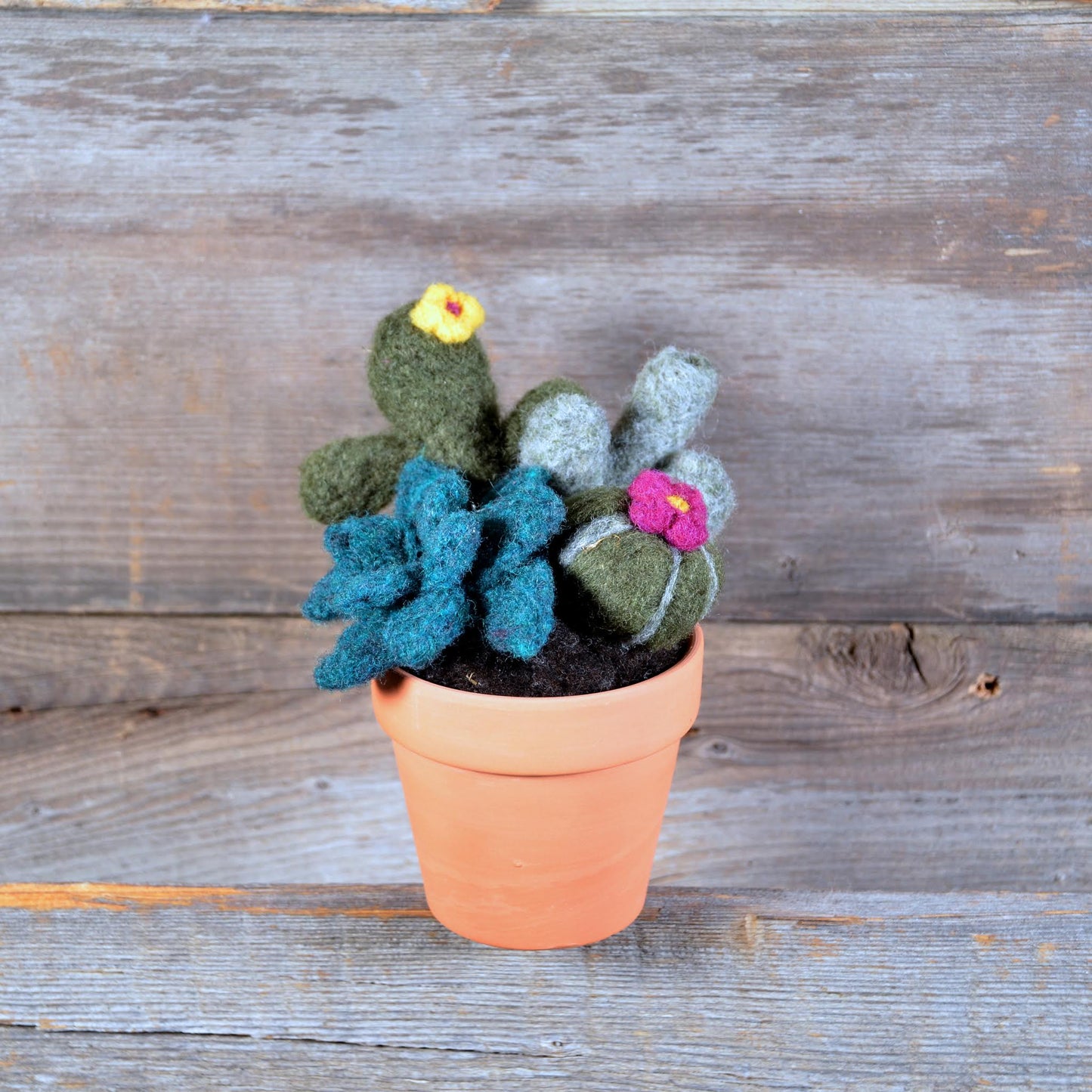 Succulent/Cactus  Needle Felting Kit