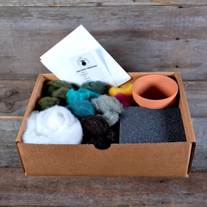 Succulent/Cactus  Needle Felting Kit