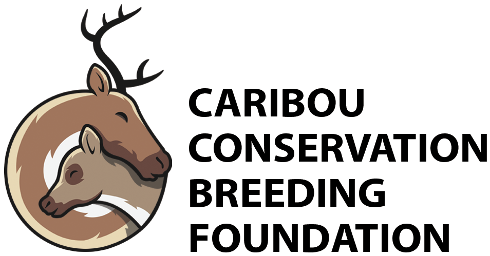 Caribou Dryer Ball Set- $10 of every sale is donated to the Caribou Conservation Breeding Foundation