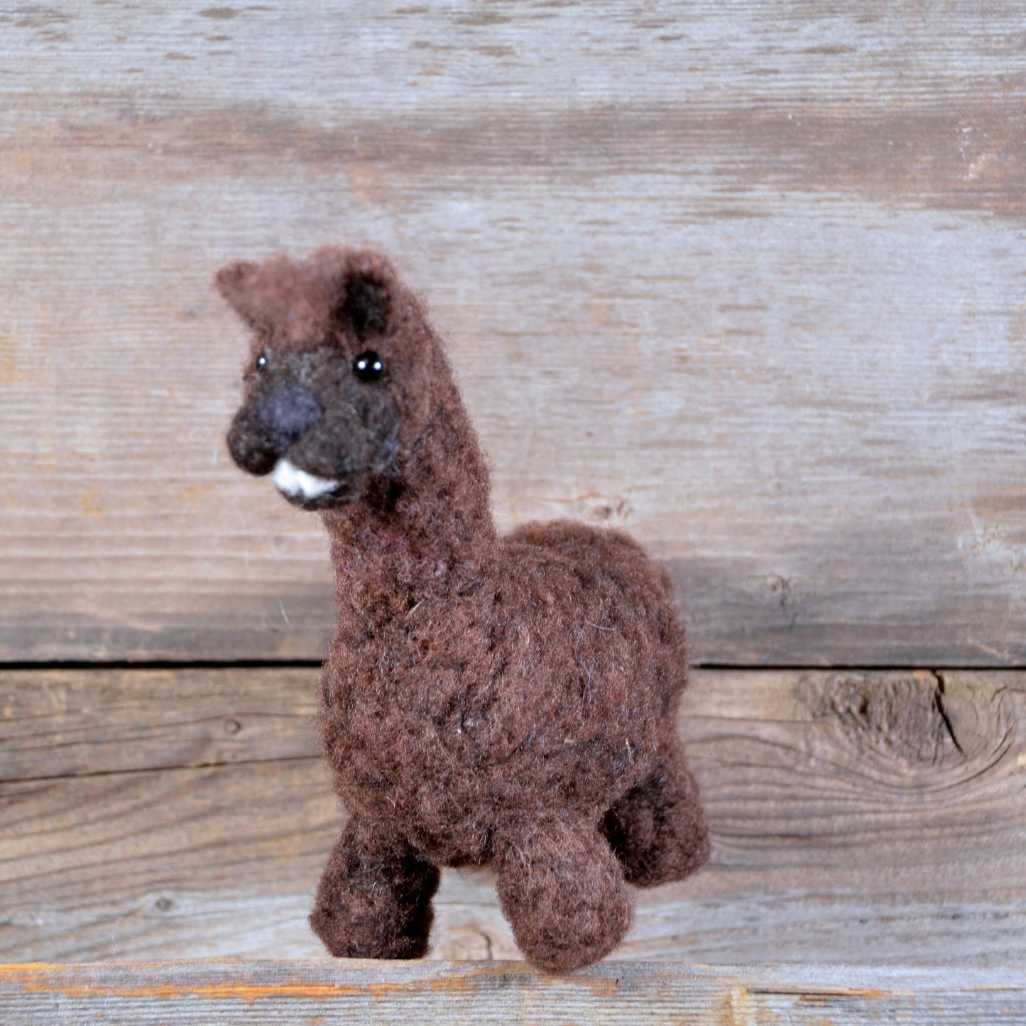 Alpaca Kit