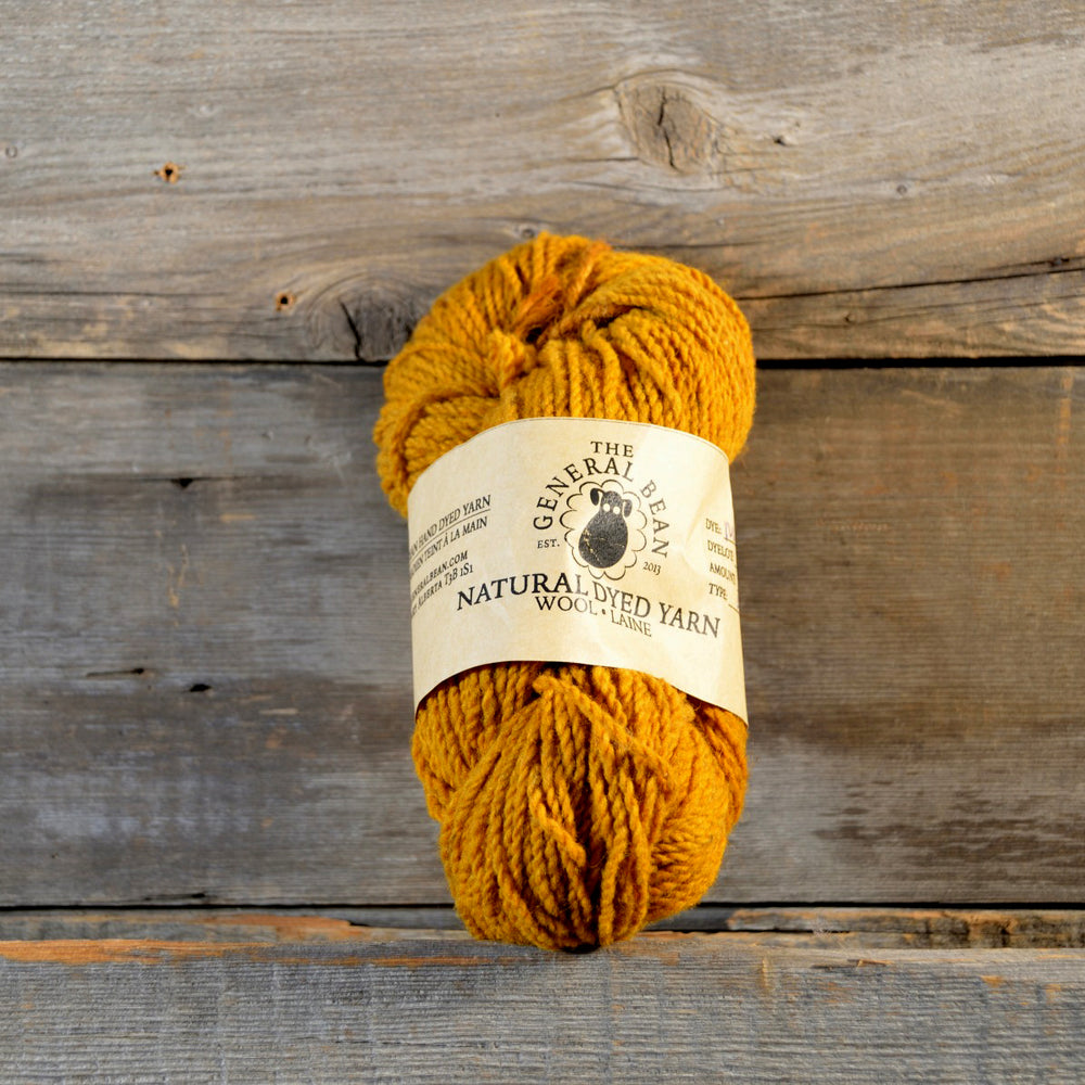 
            
                Load image into Gallery viewer, Marigold Hand Dyed 2Ply
            
        